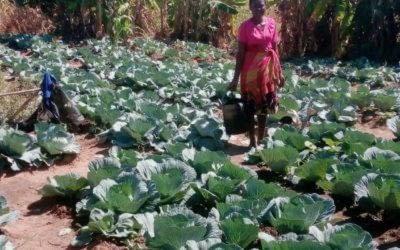 From Hunger to Hope