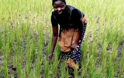 Economic Empowerment