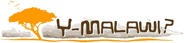 Y Africa logo